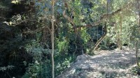 /album/andamento-da-obra/a10646820-290922967759079-3776146694452852396-n-1-jpg/
